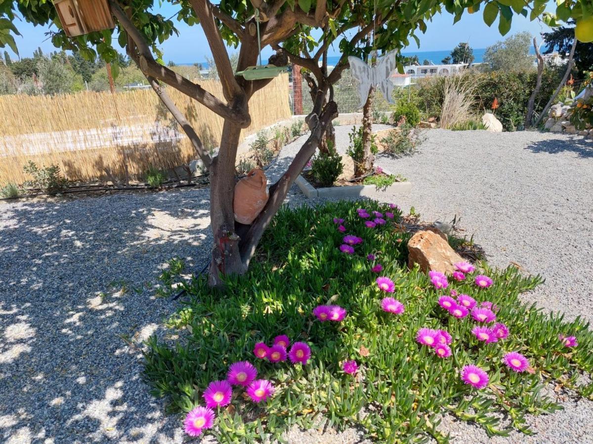 Ktima Natura Archangelos (Rhodes) Exterior foto